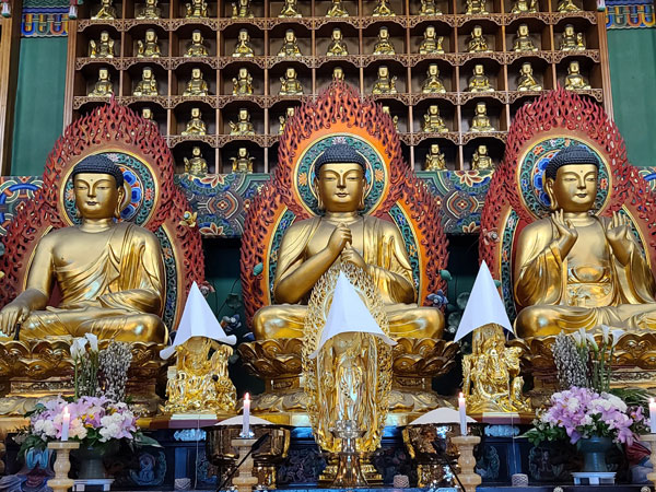 ����� ������� ��ó��, ����������� ���ݺһ� ���Ƚ� ����(2021�� 1��31��)