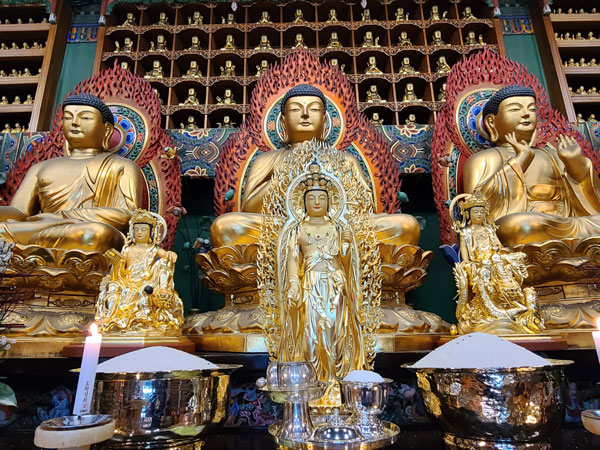 ����� ������� ��ó��, ����������� ���ݺһ� ���Ƚ� ����(2021�� 1��31��)