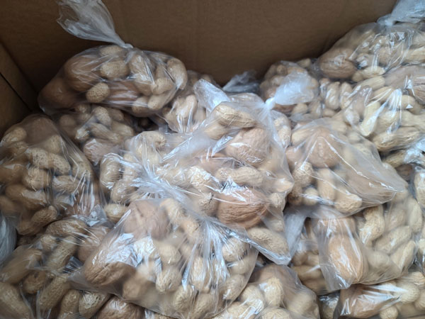 ����� ���Ȱ� ���� �� ����������ȸ (2021�� 2�� 26��)