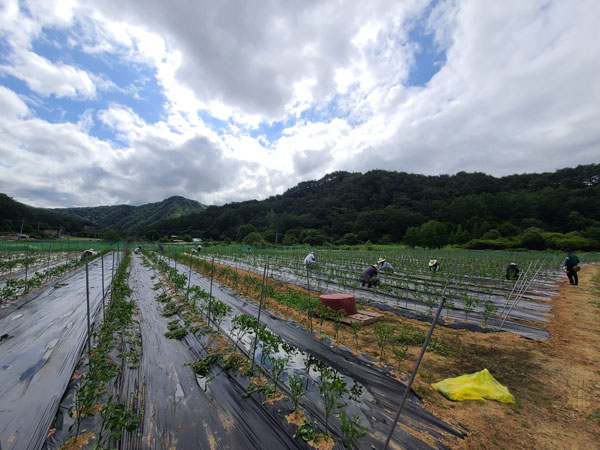 ��õ �����ٵ����� 2021��