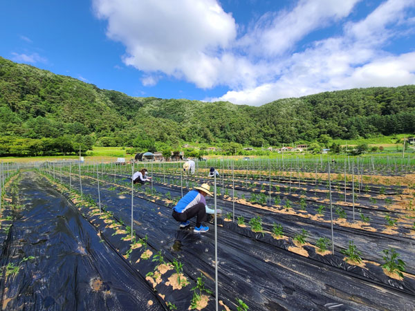 ��õ �����ٵ����� 2021��