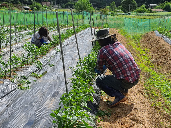 ��õ �����ٵ����� 2021��