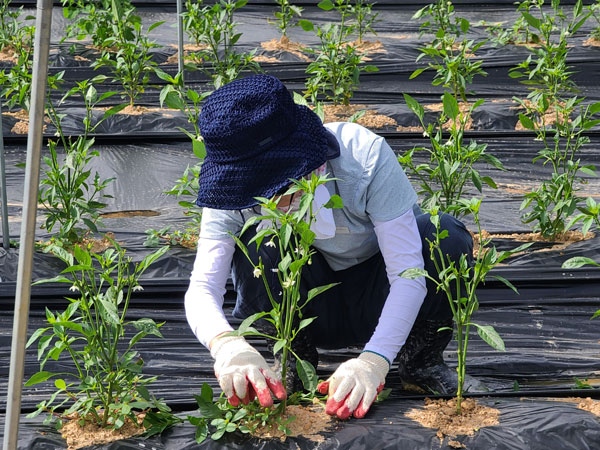 ��õ �����ٵ����� 2021��