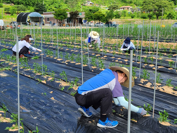 ��õ �����ٵ����� 2021��