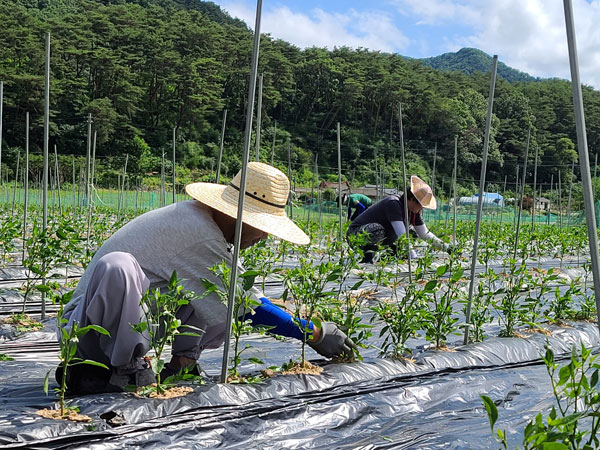 ��õ �����ٵ����� 2021��