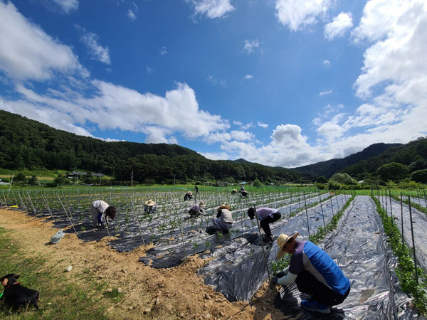 ��õ �����ٵ����� 2021��