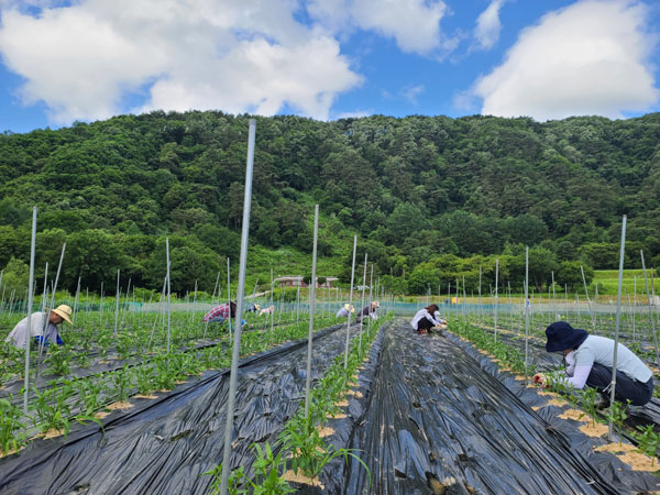 ��õ �����ٵ����� 2021��