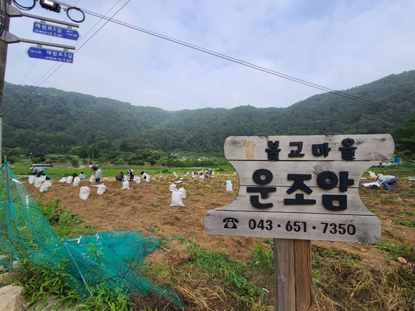 ��õ �ұ����� ���ڼ�Ȯ(2021�� 6��29��)