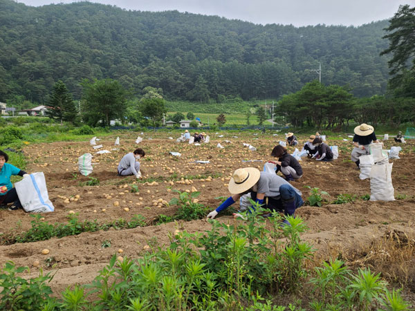 ��õ �ұ����� ���ڼ�Ȯ(2021�� 6��29��)