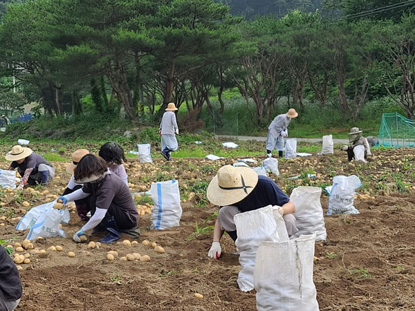 ��õ �ұ����� ���ڼ�Ȯ(2021�� 6��29��)