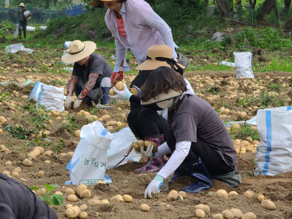 ��õ �ұ����� ���ڼ�Ȯ(2021�� 6��29��)