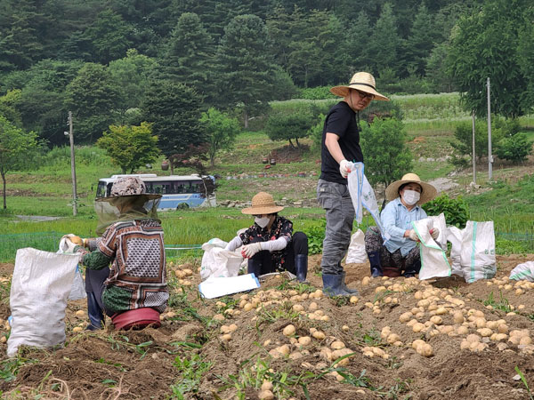 ��õ �ұ����� ���ڼ�Ȯ(2021�� 6��29��)