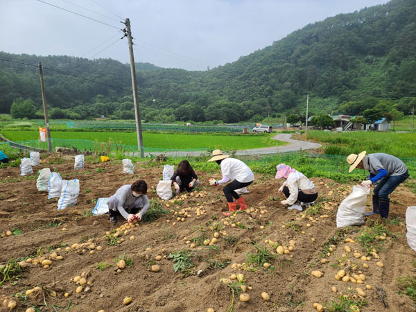 ��õ �ұ����� ���ڼ�Ȯ(2021�� 6��29��)