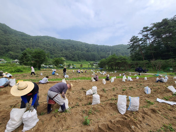 ��õ �ұ����� ���ڼ�Ȯ(2021�� 6��29��)