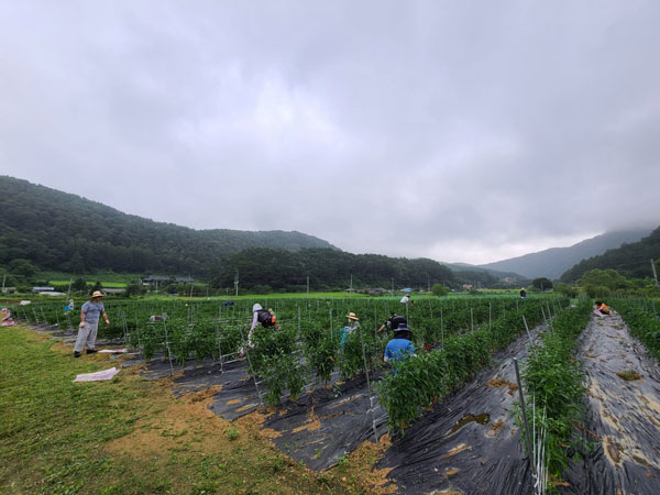 ��õ �ұ����� ���� ù ��Ȯ(2021�� 8�� 2��)