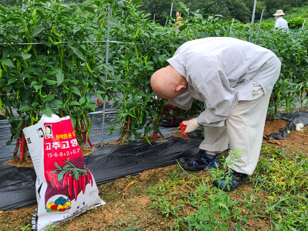 ��õ �ұ����� ���� ù ��Ȯ(2021�� 8�� 2��)