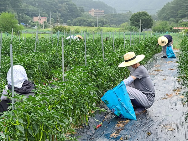 ��õ �ұ����� ���� ù ��Ȯ(2021�� 8�� 2��)