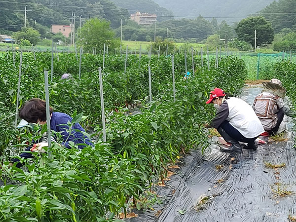 ��õ �ұ����� ���� ù ��Ȯ(2021�� 8�� 2��)