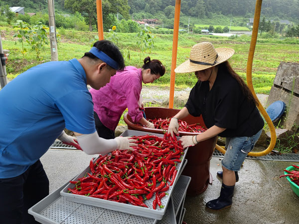 ��õ �ұ����� ���� ù ��Ȯ(2021�� 8�� 2��)