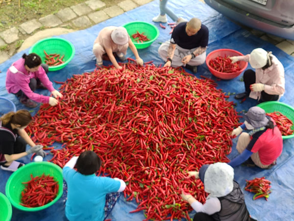 ��õ �ұ����� ���� ù ��Ȯ(2021�� 8�� 2��)