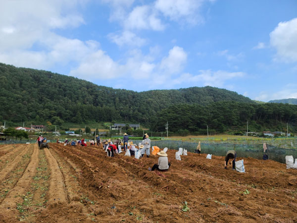 ��õ �ұ����� ������ ��Ȯ(2021�� 10�� 14��)