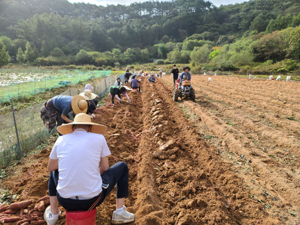 ��õ �ұ����� ������ ��Ȯ(2021�� 10�� 14��)