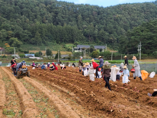 ��õ �ұ����� ������ ��Ȯ(2021�� 10�� 14��)