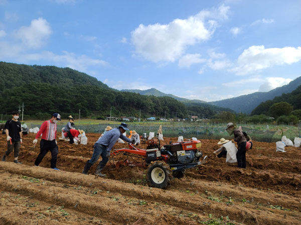 ��õ �ұ����� ������ ��Ȯ(2021�� 10�� 14��)