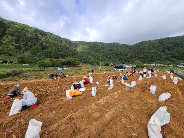 ��õ �ұ����� ������ ��Ȯ(2021�� 10�� 14��)