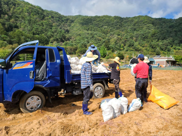 ��õ �ұ����� ������ ��Ȯ(2021�� 10�� 14��)