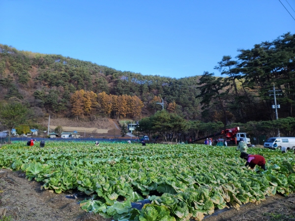 2021�� �����ױ� ���(11��11��~14��)