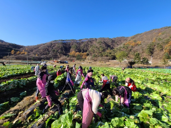 2021�� �����ױ� ���(11��11��~14��)