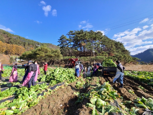 2021�� �����ױ� ���(11��11��~14��)