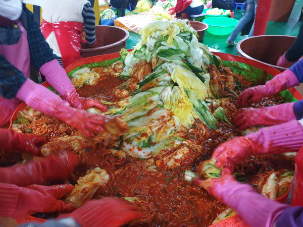 2021�� �����ױ� ���(11��11��~14��)