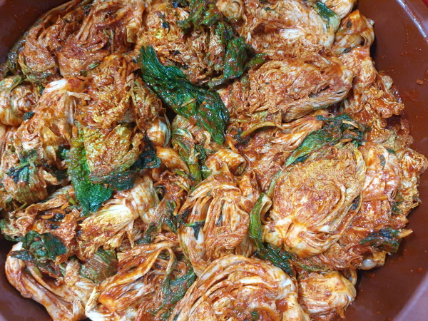 2021�� �����ױ� ���(11��11��~14��)