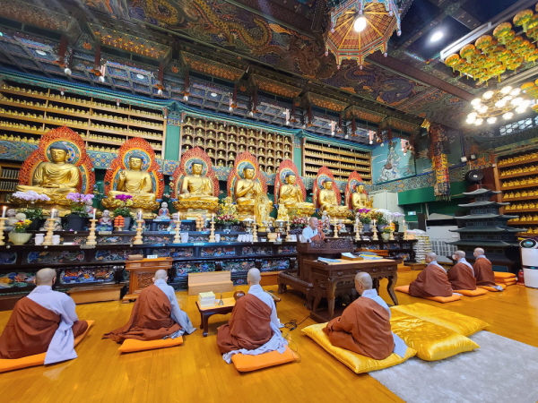 �����(2021)���Ȱ� ����(2021��11��19��)