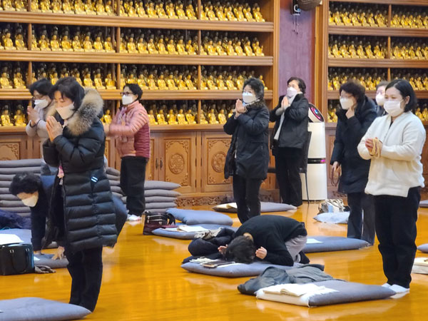 ����� ��������(2022�� 1��10��)