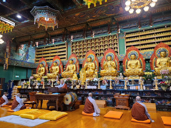 ����� ��������(2022�� 1��10��)