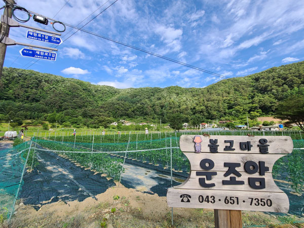 ��õ �ұ����� ���� �� ����(2022�� 6��14��)