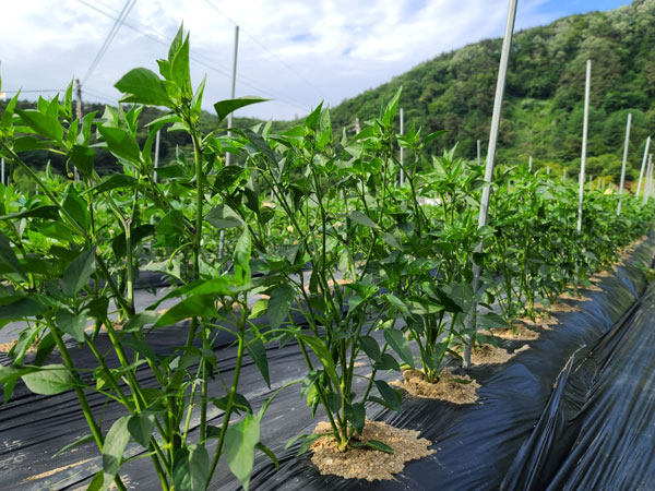 ��õ �ұ����� ���� �� ����(2022�� 6��14��)