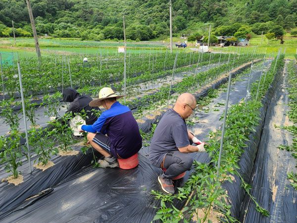 ��õ �ұ����� ���� �� ����(2022�� 6��14��)