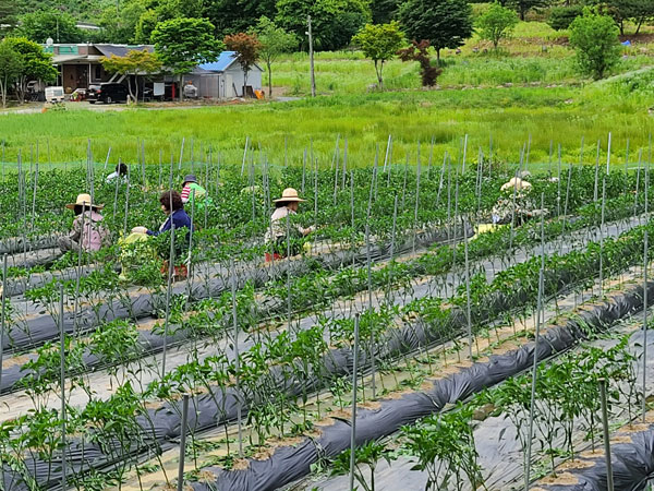 ��õ �ұ����� ���� �� ����(2022�� 6��14��)