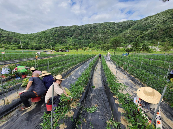 ��õ �ұ����� ���� �� ����(2022�� 6��14��)