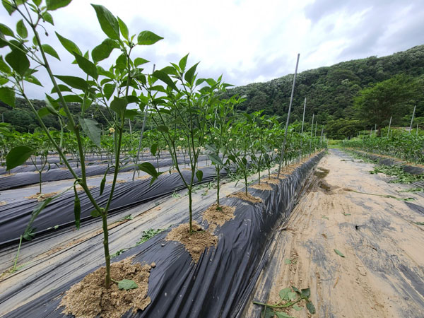 ��õ �ұ����� ���� �� ����(2022�� 6��14��)