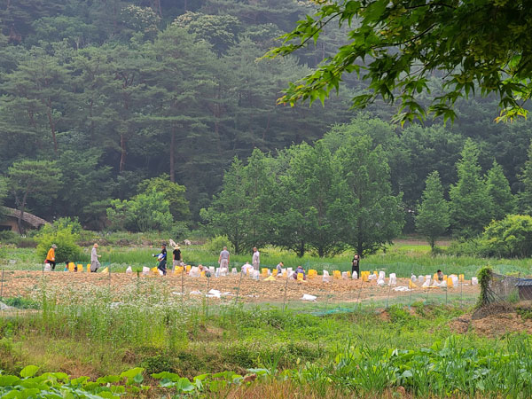 ��õ �ұ����� ���ڼ�Ȯ(2022�� 6��23��)