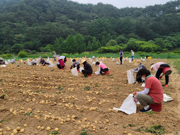 ��õ �ұ����� ���ڼ�Ȯ(2022�� 6��23��)