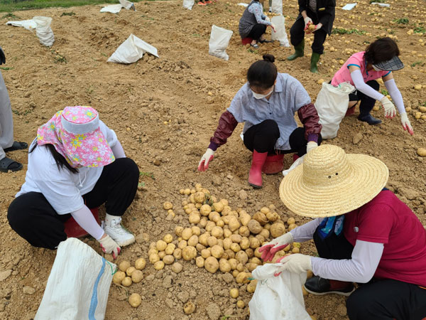 ��õ �ұ����� ���ڼ�Ȯ(2022�� 6��23��)