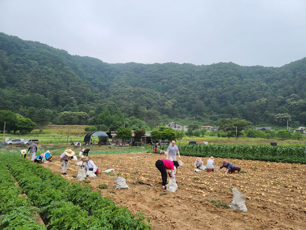 ����� �������� ����1�ֱ� �߸�ٷ���(2021�� 9��18��)