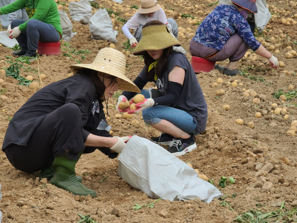 ��õ �ұ����� ���ڼ�Ȯ(2022�� 6��23��)