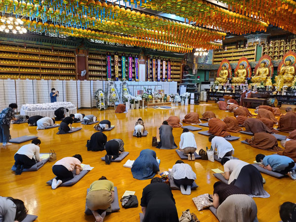 ������ ȫ������ ����44�ֱ� �߸�ٷ���(2022�� 7��25��)